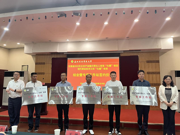 7d31228ca17a4a71ae6478ec8dfb9757.png 图片3.png