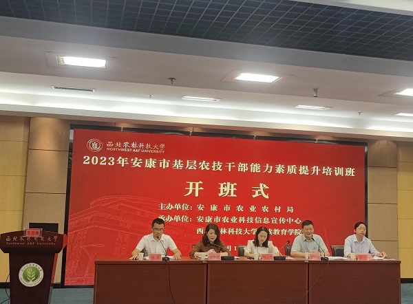 affb1fac78ff481b9ff539cf13591489.jpg 55.jpg